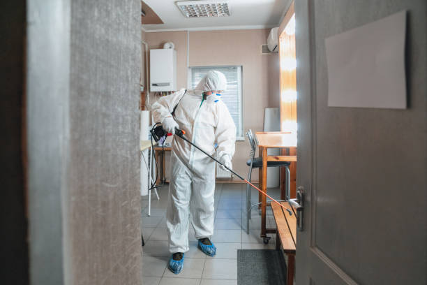 Best Mold-Related Health Consultation  in Ester, AK