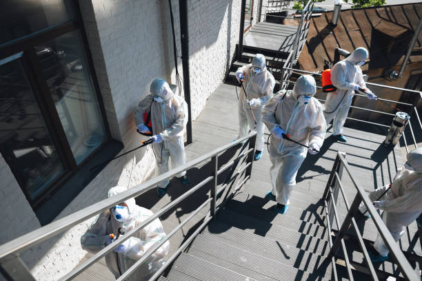  Ester, AK Mold Removal Pros