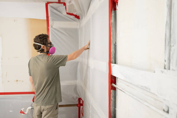 Best Industrial Mold Remediation  in Ester, AK
