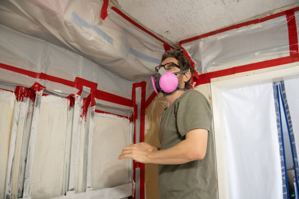 Best Mold Remediation for Healthcare Facilities  in Ester, AK