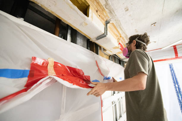 Best Mold Removal for HVAC Installations  in Ester, AK
