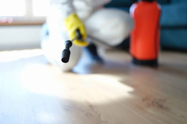 Best Emergency Mold Remediation  in Ester, AK