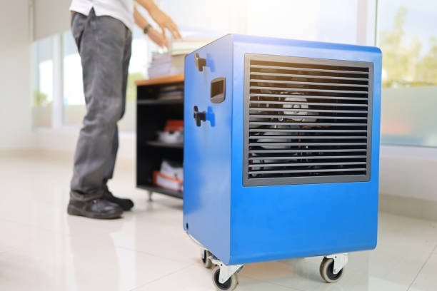 Best Residential Mold Inspection & Testing  in Ester, AK