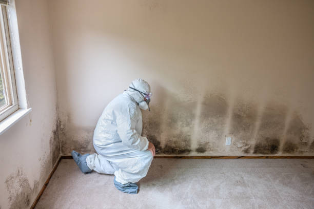 Best Biohazard Mold Removal  in Ester, AK